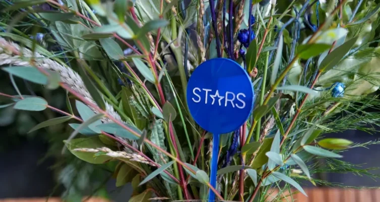 “Epson Stars”: la nueva plataforma que busca transformar la relación con los revendedores tecnológicos en Argentina.