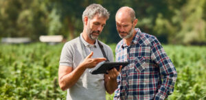 La alianza integrará IA para modernizar el negocio de Syngenta y acelerar la innovación mediante datos avanzados en todas sus operaciones y soluciones para agricultores.