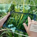 Datos, conocimiento y producción conectados para una agricultura más sostenible.