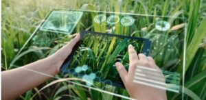 Datos, conocimiento y producción conectados para una agricultura más sostenible.