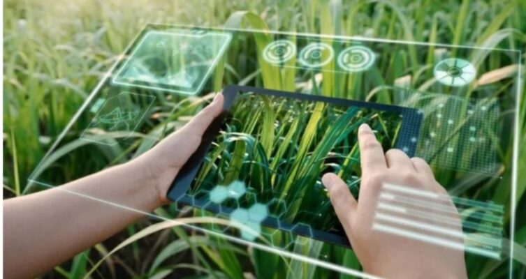 Datos, conocimiento y producción conectados para una agricultura más sostenible.