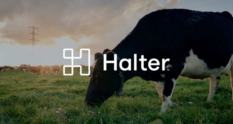 La ganadería ingresa en la era digital con cercas virtuales y control inteligente del rodeo.