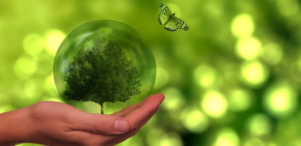La colaboración y el compromiso de la comunidad serán claves para garantizar la sostenibilidad del ecosistema OSS más allá de 2025.