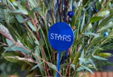 “Epson Stars”: la nueva plataforma que busca transformar la relación con los revendedores tecnológicos en Argentina.