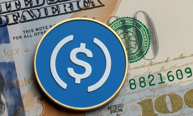 Las stablecoins ganan terreno en Argentina como herramienta financiera clave.