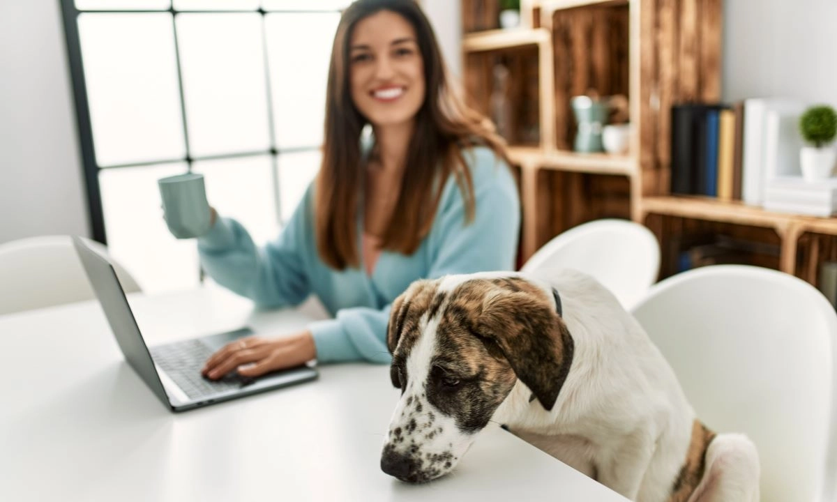 Días libres por adopción o pérdida de mascotas, horarios flexibles para padres y actividades de bienestar: beneficios adaptados a intereses diversos.