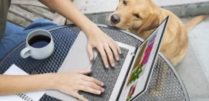 En un año donde la irrupción de la IA en dispositivos de uso diario y el crecimiento del gaming portátil redefinieron las preferencias de los usuarios, la marca propone opciones para trabajar, estudiar, crear contenido o disfrutar del entretenimiento digital.