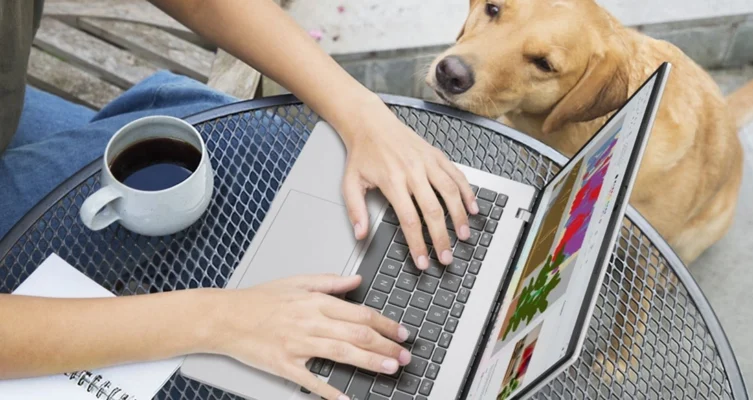 En un año donde la irrupción de la IA en dispositivos de uso diario y el crecimiento del gaming portátil redefinieron las preferencias de los usuarios, la marca propone opciones para trabajar, estudiar, crear contenido o disfrutar del entretenimiento digital.