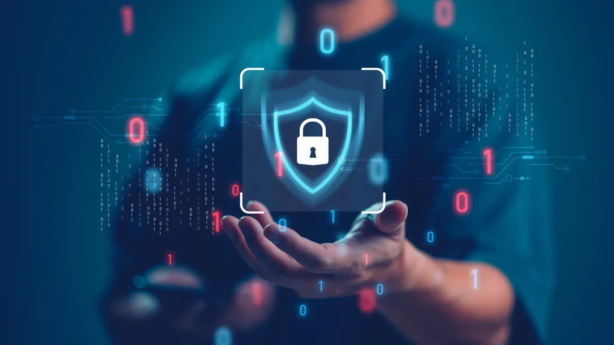 Uno de los ejes principales es el desarrollo de marcos para sistemas de identidad digital que garanticen privacidad, seguridad e interoperabilidad.