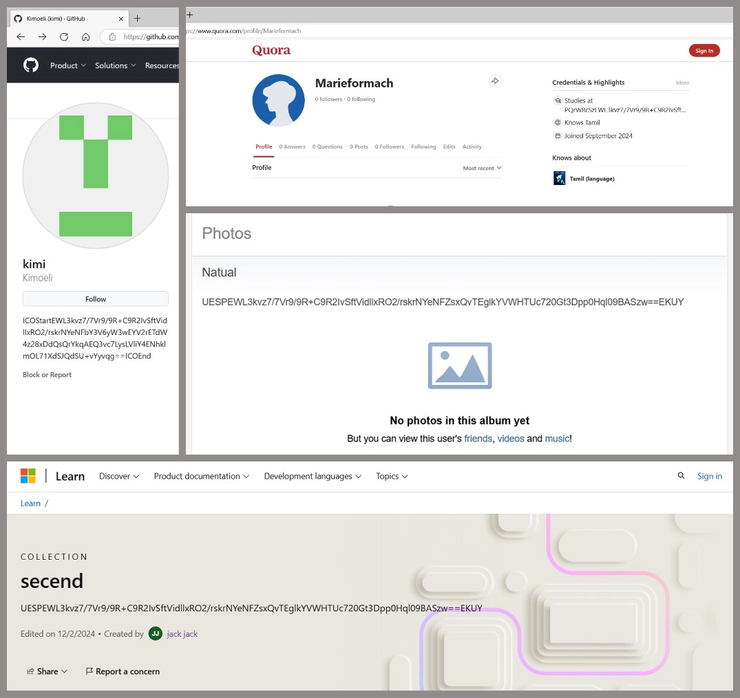 Perfiles en plataformas en línea populares con código malicioso.