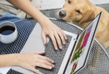 En un año donde la irrupción de la IA en dispositivos de uso diario y el crecimiento del gaming portátil redefinieron las preferencias de los usuarios, la marca propone opciones para trabajar, estudiar, crear contenido o disfrutar del entretenimiento digital.