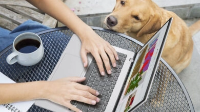 En un año donde la irrupción de la IA en dispositivos de uso diario y el crecimiento del gaming portátil redefinieron las preferencias de los usuarios, la marca propone opciones para trabajar, estudiar, crear contenido o disfrutar del entretenimiento digital.