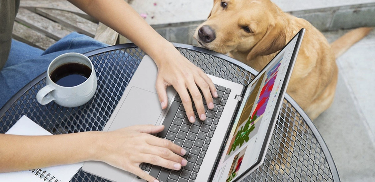 En un año donde la irrupción de la IA en dispositivos de uso diario y el crecimiento del gaming portátil redefinieron las preferencias de los usuarios, la marca propone opciones para trabajar, estudiar, crear contenido o disfrutar del entretenimiento digital.