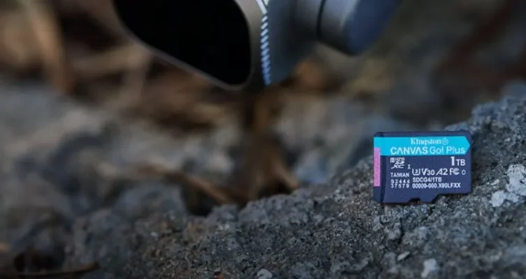 Kingston Canvas Go! Plus.