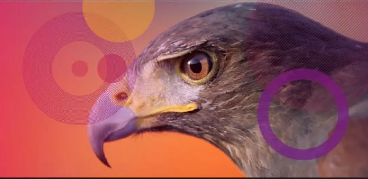 Investigadores de Check Point Research identificaron una campaña de ciberespionaje que explotaba una vulnerabilidad zero-day en Windows, atribuida al grupo Stealth Falcon, utilizando herramientas legítimas del sistema para ejecutar malware desde servidores remotos.