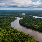 El proyecto buscaba desplegar más de 1.600 kilómetros de fibra y conectar la Amazonía colombiana con infraestructura nacional e internacional.