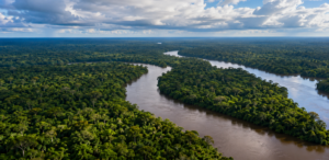 El proyecto buscaba desplegar más de 1.600 kilómetros de fibra y conectar la Amazonía colombiana con infraestructura nacional e internacional.