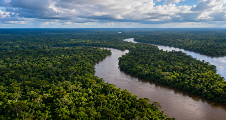 El proyecto buscaba desplegar más de 1.600 kilómetros de fibra y conectar la Amazonía colombiana con infraestructura nacional e internacional.