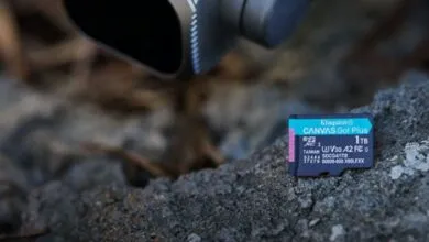 Kingston Canvas Go! Plus.