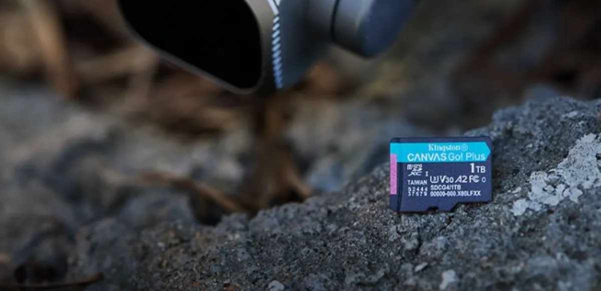 Kingston Canvas Go! Plus.