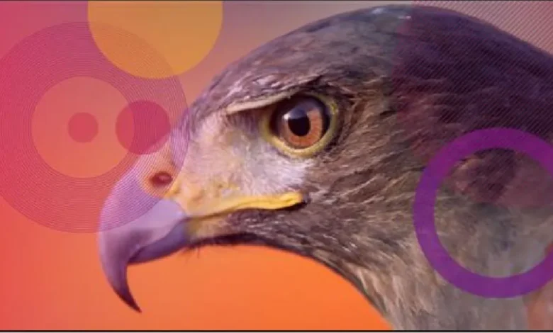 Check Point Research detecta una nueva campaña de espionaje con un zero-day de Microsoft atribuida a Stealth Falcon 2 Investigadores de Check Point Research identificaron una campaña de ciberespionaje que explotaba una vulnerabilidad zero-day en Windows, atribuida al grupo Stealth Falcon, utilizando herramientas legítimas del sistema para ejecutar malware desde servidores remotos.