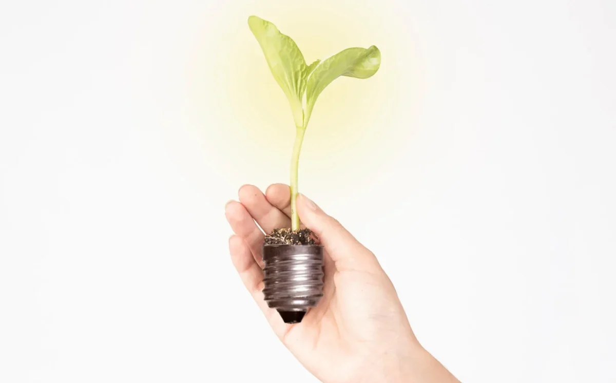 Este aumento exponencial requiere no solo fuentes de energía alternativas, como las renovables, sino también un cambio tecnológico fundamental para mitigar las necesidades energéticas de los centros de datos en la era moderna.