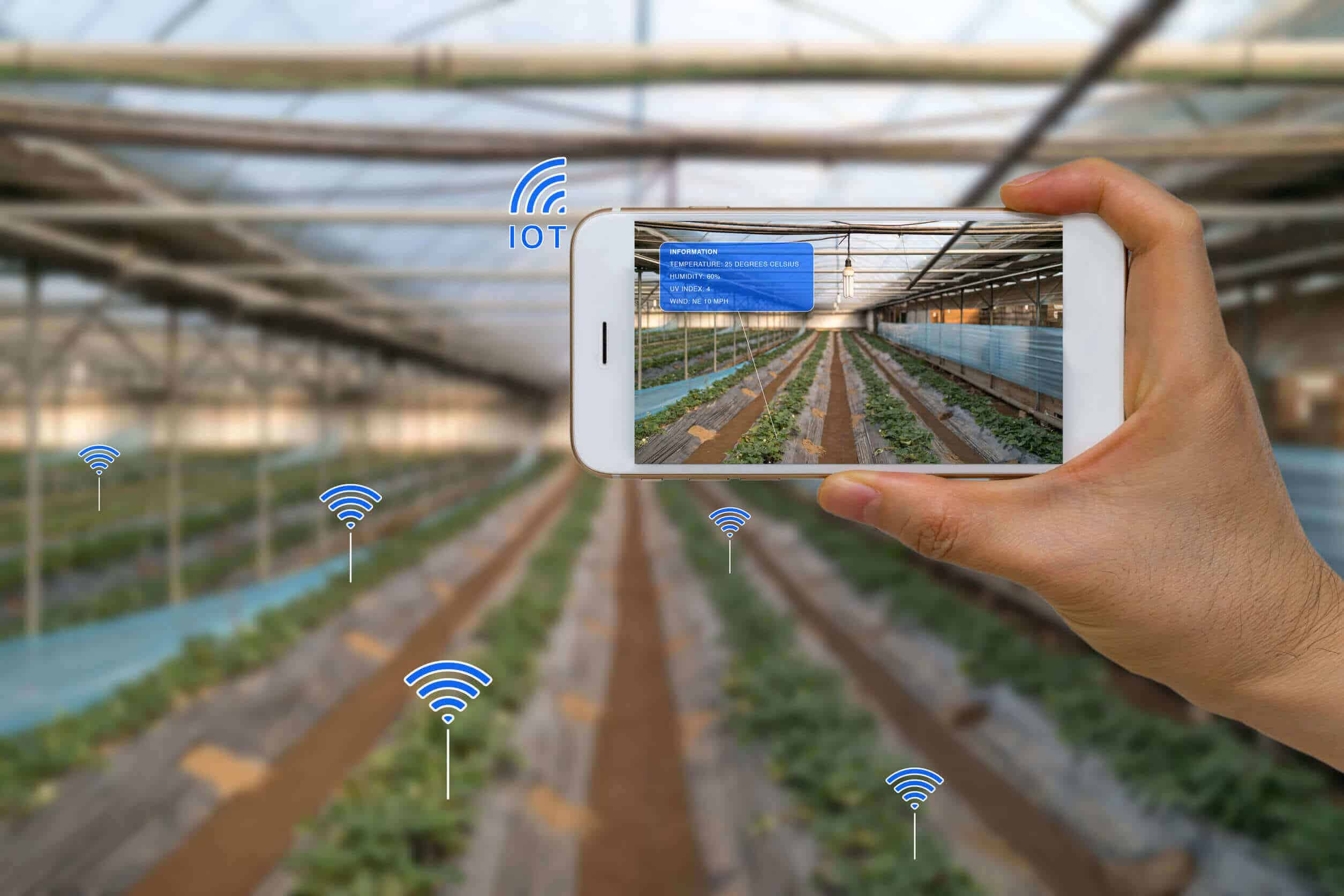 La Internet de las Cosas llega al sector agropecuario