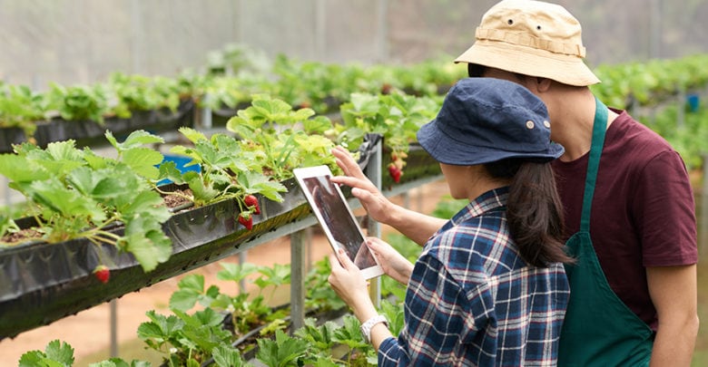 Sector agropecuario y tecnología, pilares de la economía rentable en Colombia