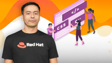 ¿Por qué es importante que los Organismos Públicos encaren su Transformación Cultural?