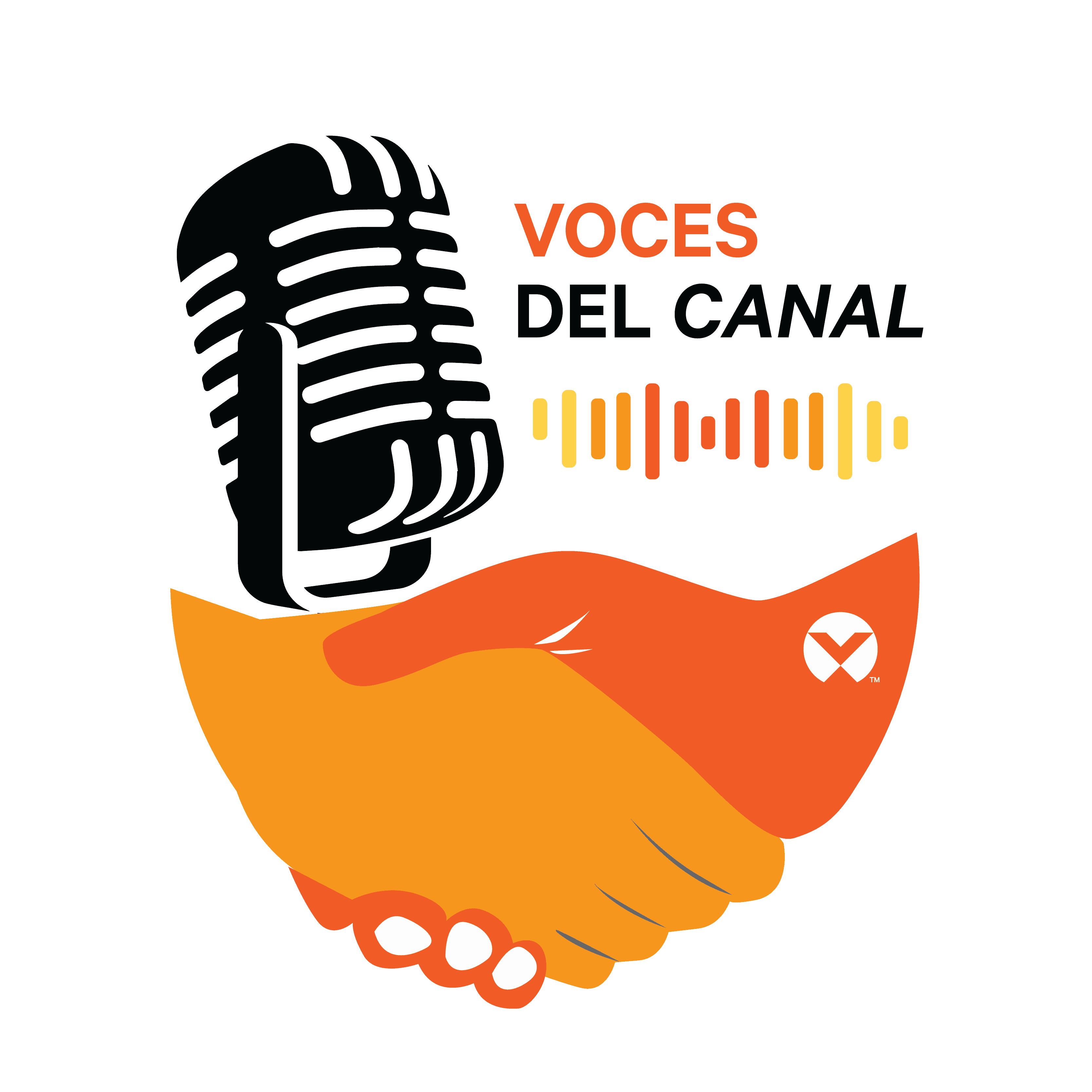 Voces para el Canal, el proyecto de Vertiv para conectar socios en Latinoamérica