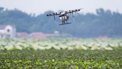 Las 4 tendencias tecnológicas que cambiarán la vida de los agricultores en Colombia