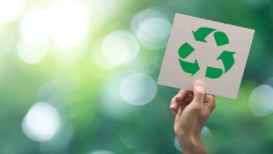 Nueva tecnología de empaque utiliza materiales ecológicos y 100% reciclables