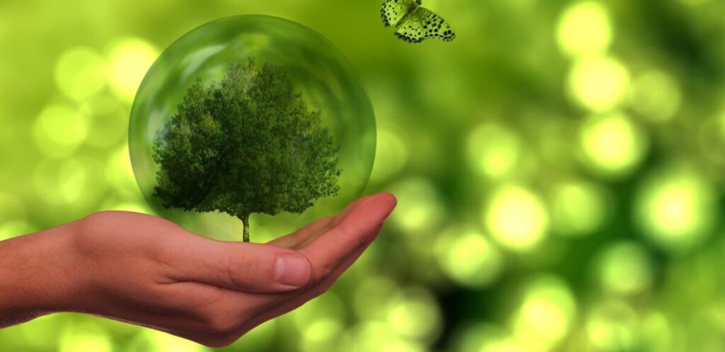 TD SYNNEX demuestra que los negocios pueden ser agentes de cambio positivo en la sociedad.