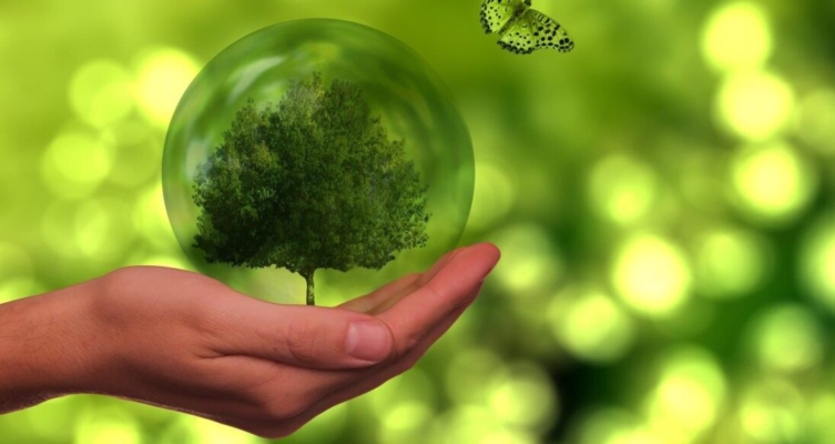 TD SYNNEX demuestra que los negocios pueden ser agentes de cambio positivo en la sociedad.