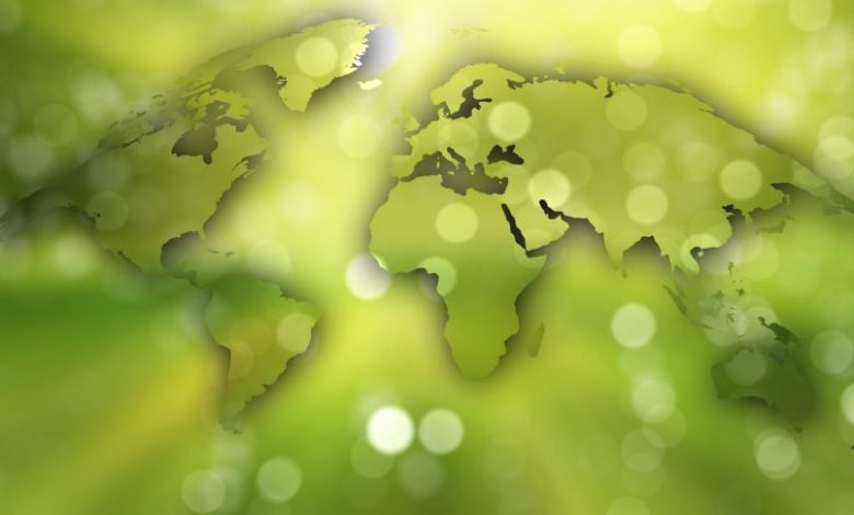 La sustentabilidad demuestra su valor para las marcas tecnológicas B2B más valiosas del mundo La sustentabilidad demuestra su valor para las marcas tecnológicas B2B más valiosas del mundo