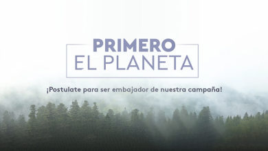 Western Digital premió a los resellers comprometidos con el medio ambiente