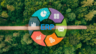 Cómo los ERPs ayudan a las organizaciones a alcanzar sus iniciativas sustentables