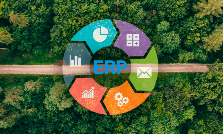 Cómo los ERPs ayudan a las organizaciones a alcanzar sus iniciativas sustentables