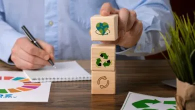 Mercado B2B sustentable en México: ¿cómo aprovechar esta tendencia?