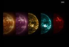 nasa e ibm