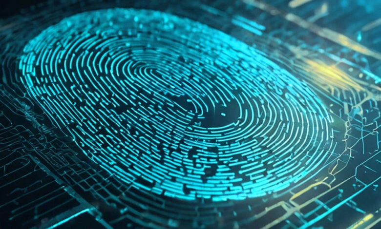 Fingerprinting: qué es y cómo rastrean tu actividad en la web La recopilación de datos, como tu sistema operativo o configuración, pasan a formar parte de una huella digital única que puede seguirte de sitio en sitio.