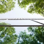 Según el estudio, las organizaciones centradas en la integración están liderando el camino al convertir la sostenibilidad en un motor de valor empresarial y no solo en un requisito regulatorio.