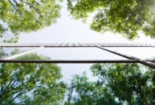 Según el estudio, las organizaciones centradas en la integración están liderando el camino al convertir la sostenibilidad en un motor de valor empresarial y no solo en un requisito regulatorio.