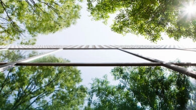 Según el estudio, las organizaciones centradas en la integración están liderando el camino al convertir la sostenibilidad en un motor de valor empresarial y no solo en un requisito regulatorio.