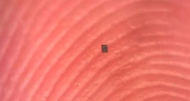 La robótica avanza hacia una escala microscópica sin precedentes.