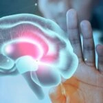 Blindsight promete devolver la visión mediante un implante cerebral experimental desarrollado por Neuralink.