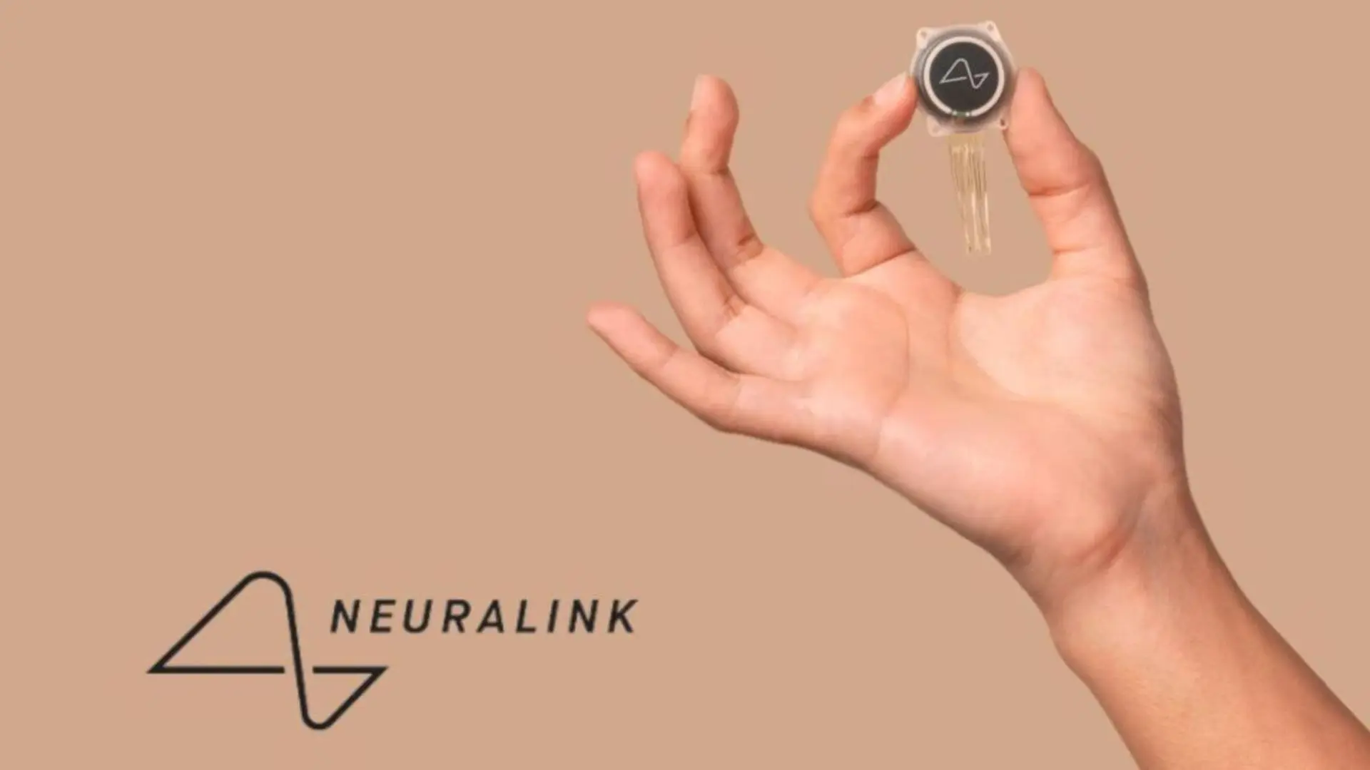 Neuralink ya ha probado el implante en primates y planea iniciar ensayos clínicos en humanos.