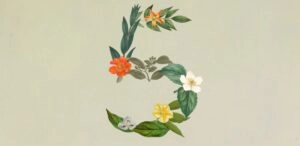 Anthropic presentó Claude Sonnet 5, su nuevo modelo de inteligencia artificial para empresas y profesionales.