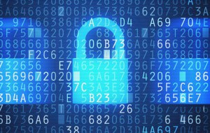 Nueva Legislación en Ciberseguridad en EU