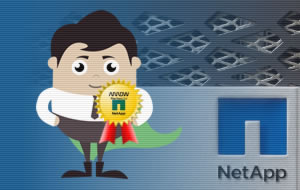 Arrow recibe reconocimiento como distribuidor de Netapp